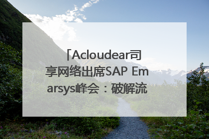Acloudear司享网络出席SAP Emarsys峰会：破解流量困局，驱动精准增长