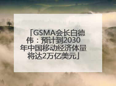 GSMA会长白德伟：预计到2030年中国移动经济体量将达2万亿美元