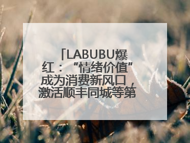 LABUBU爆红：“情绪价值”成为消费新风口，激活顺丰同城等第三方即配