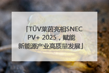 TÜV莱茵亮相SNEC PV+ 2025，赋能新能源产业高质量发展